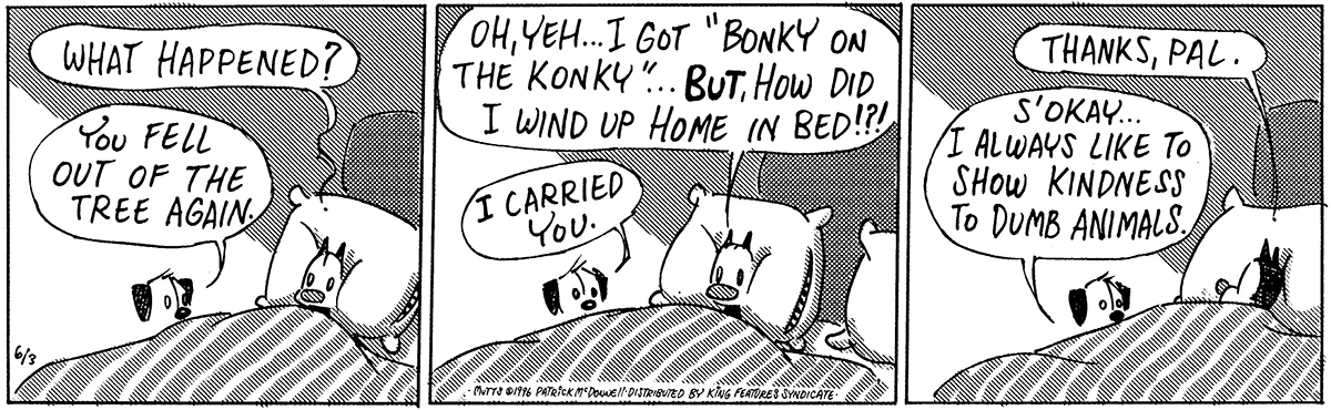 June 3 1996, Daily Comic Strip
