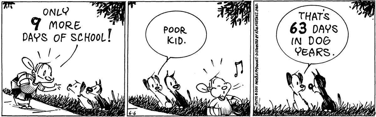 June 6 2001, Daily Comic Strip