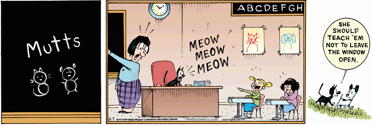 June 7 2009, Sunday Comic Strip