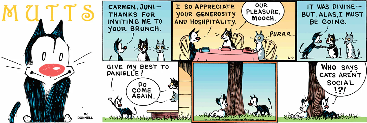 June 9 2013, Sunday Comic Strip