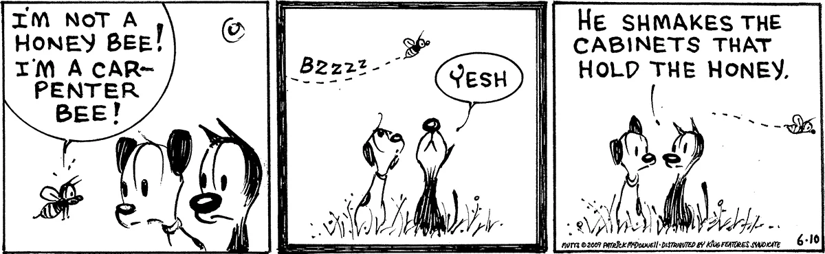 June 10 2009, Daily Comic Strip