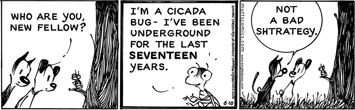 June 10 2013, Daily Comic Strip