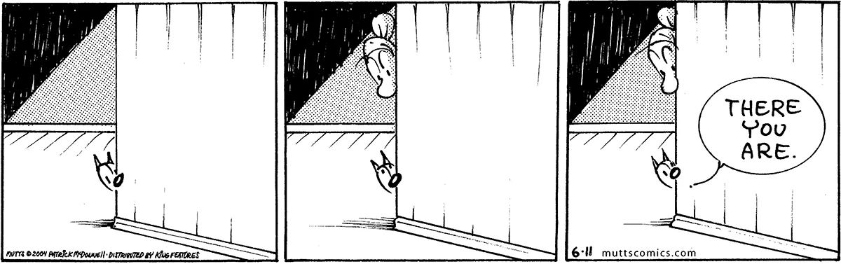 June 11 2004, Daily Comic Strip