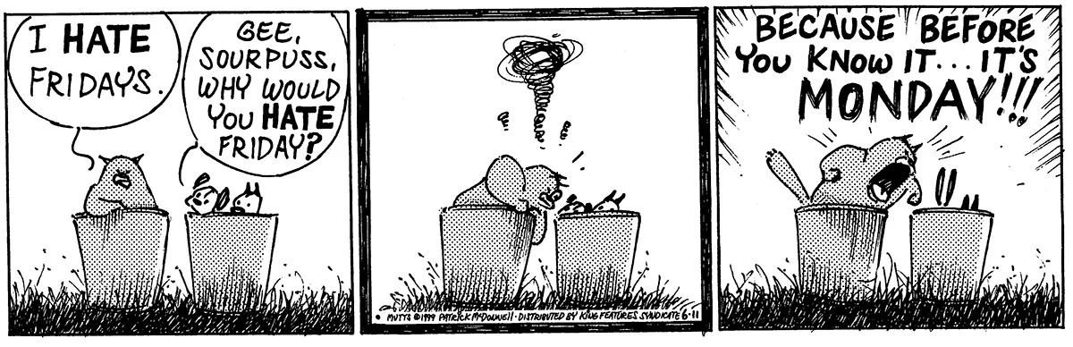June 11 1999, Daily Comic Strip