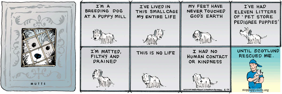 June 14 2009, Sunday Comic Strip