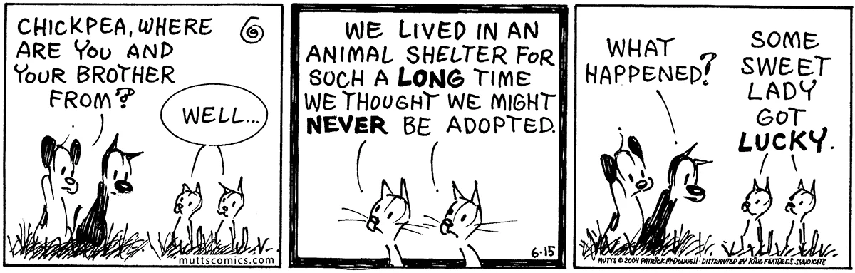 June 15 2004, Daily Comic Strip