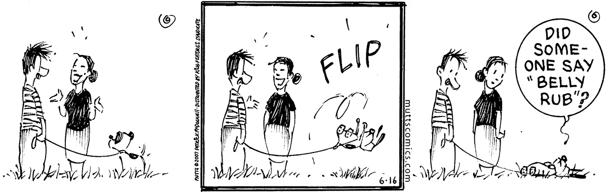 June 16 2007, Daily Comic Strip