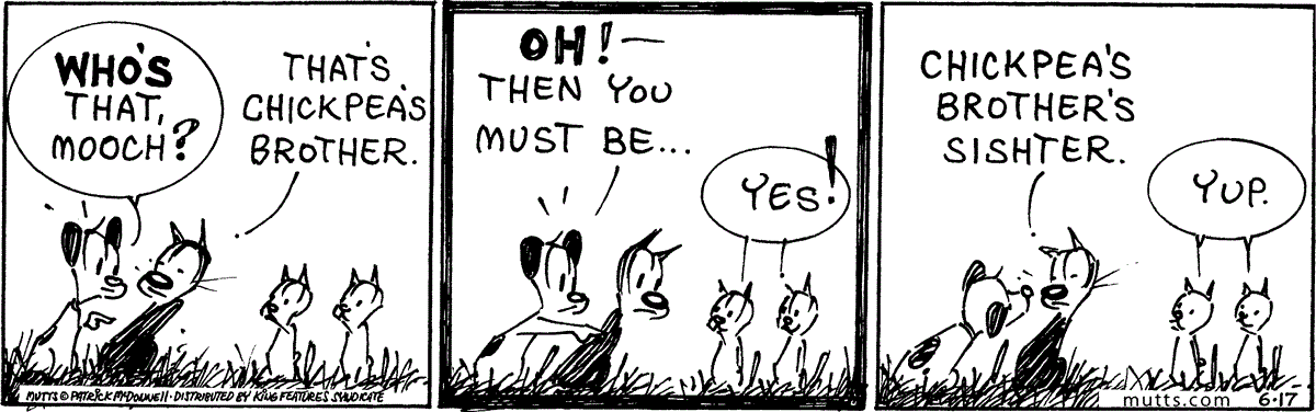 June 17 2024, Daily Comic Strip