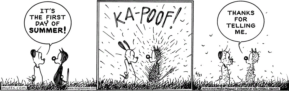 June 21 2022, Daily Comic Strip