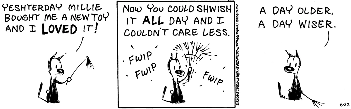 June 22 2001, Daily Comic Strip