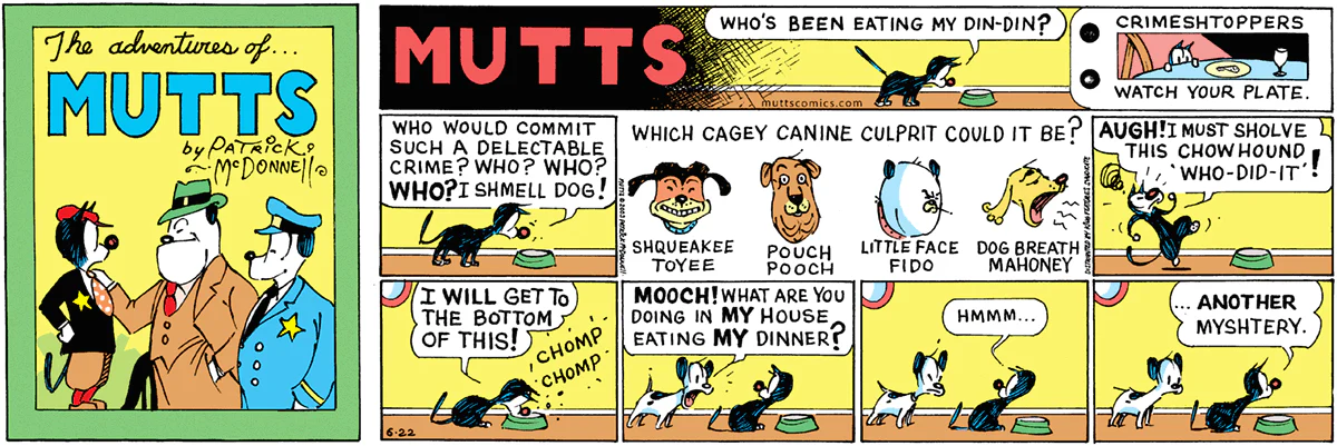 June 22 2003, Sunday Comic Strip