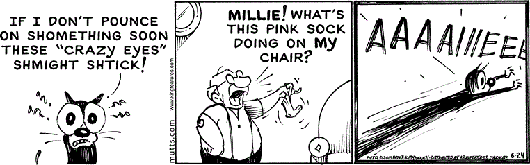 June 24 2016, Daily Comic Strip