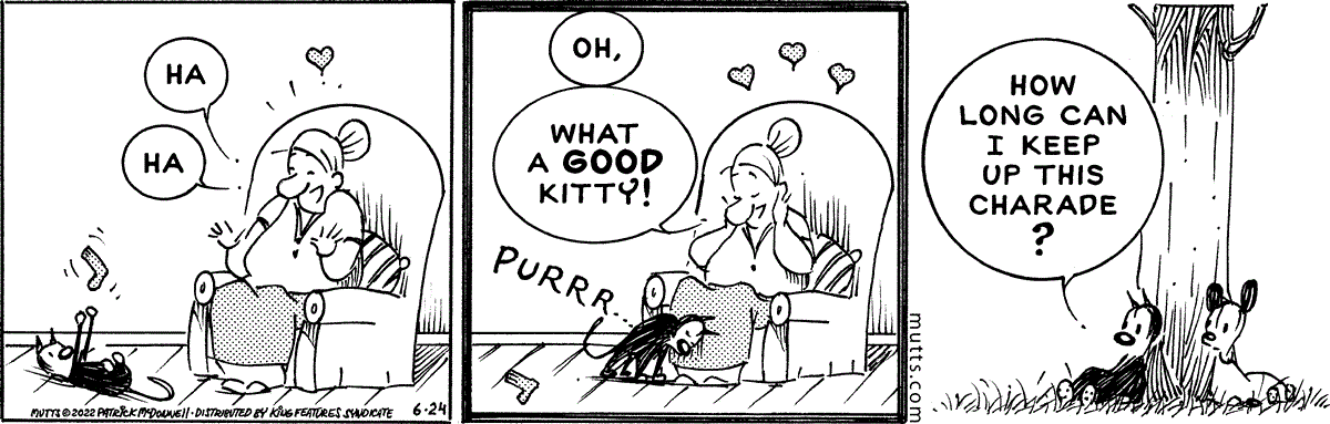 June 24 2022, Daily Comic Strip