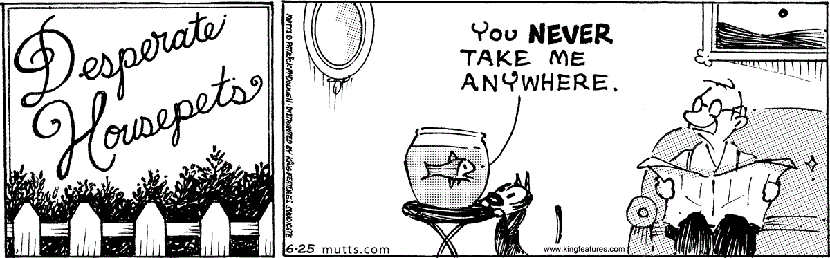 June 25 2025, Daily Comic Strip