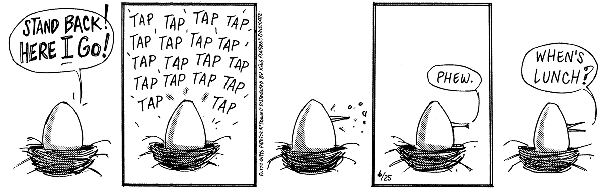 June 25 1996, Daily Comic Strip