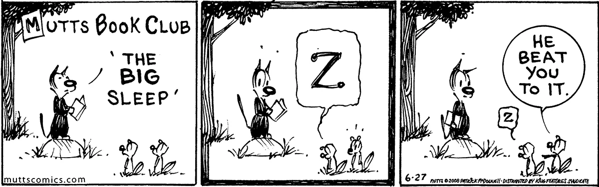 June 27 2008, Daily Comic Strip