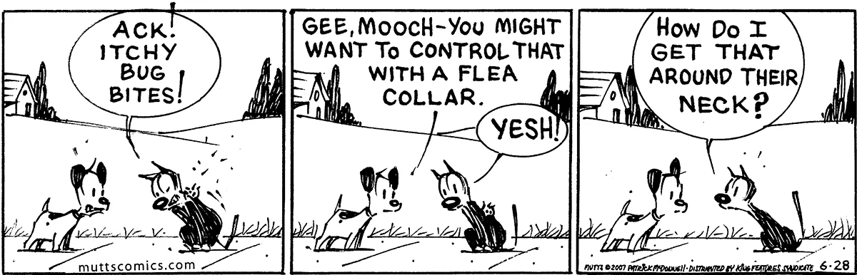 June 28 2007, Daily Comic Strip