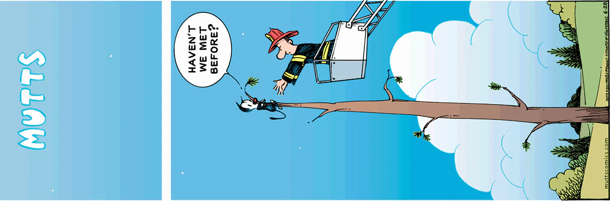 June 28 2015, Sunday Comic Strip