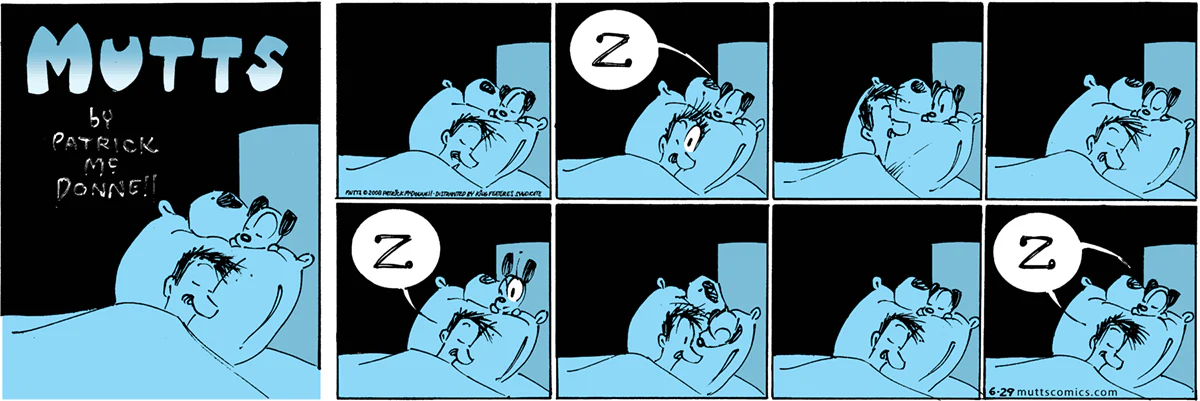 June 29 2008, Sunday Comic Strip