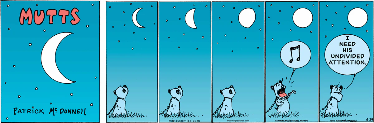 June 29 2014, Sunday Comic Strip