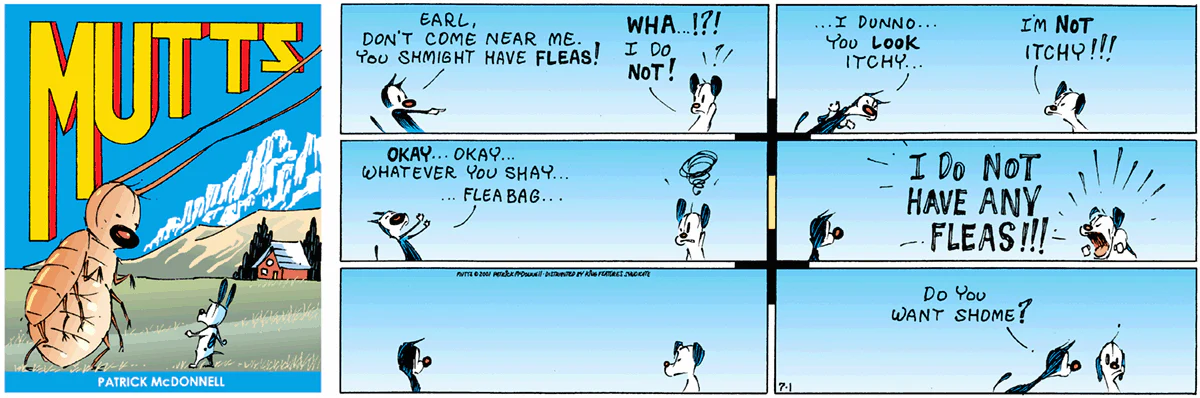 July 1 2001, Sunday Comic Strip