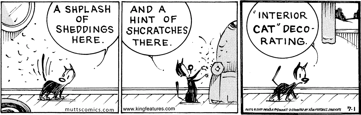 July 1 2009, Daily Comic Strip