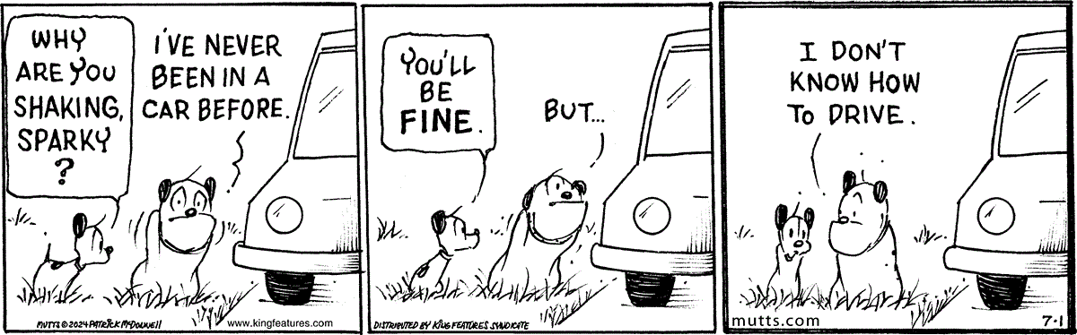 July 1 2024, Daily Comic Strip