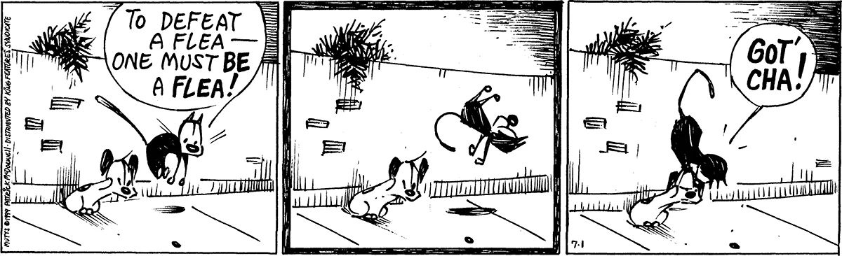 July 1 1999, Daily Comic Strip