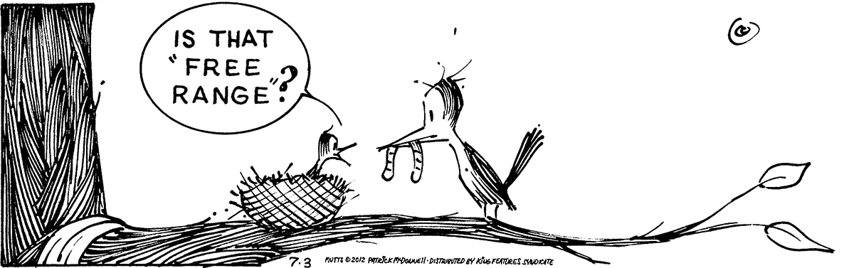 July 3 2012, Daily Comic Strip