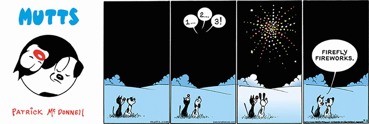 July 3 2016, Sunday Comic Strip