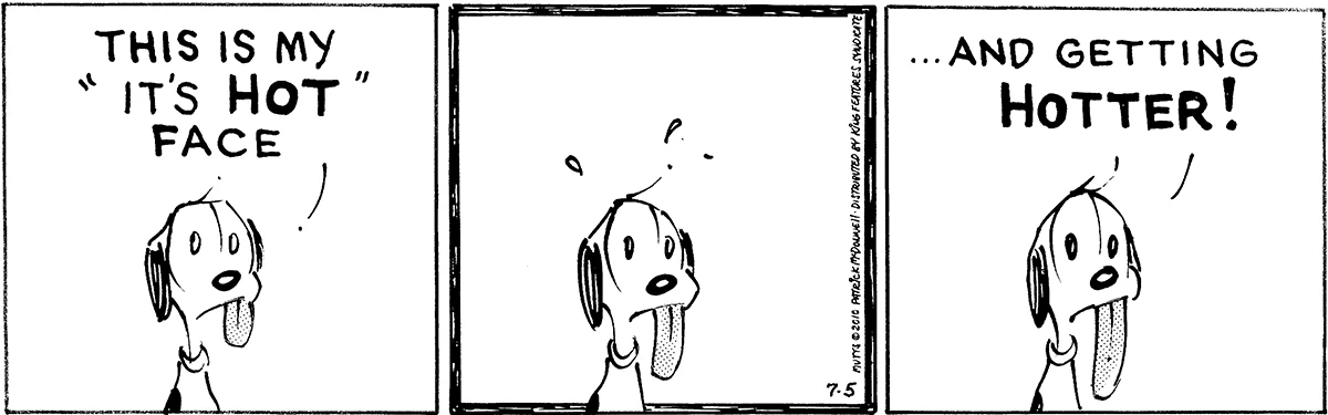 July 5 2010, Daily Comic Strip