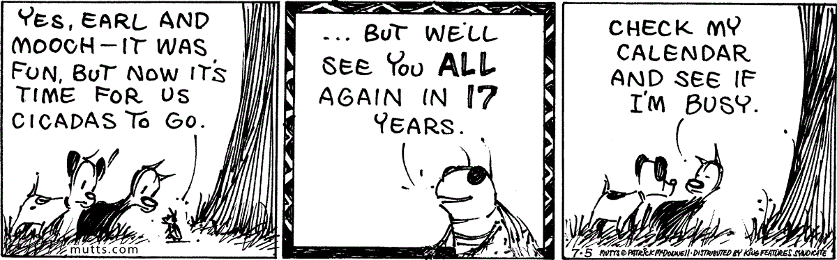 July 5 2024, Daily Comic Strip