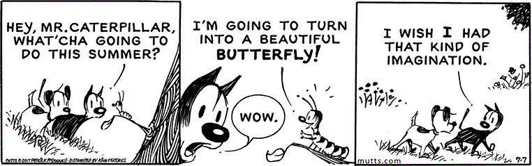 July 7 2017, Daily Comic Strip