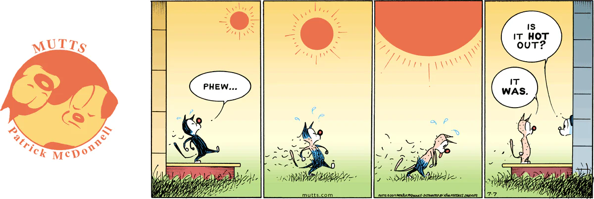 July 7 2019, Sunday Comic Strip