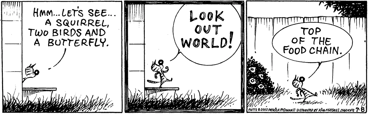 July 8 2002, Daily Comic Strip