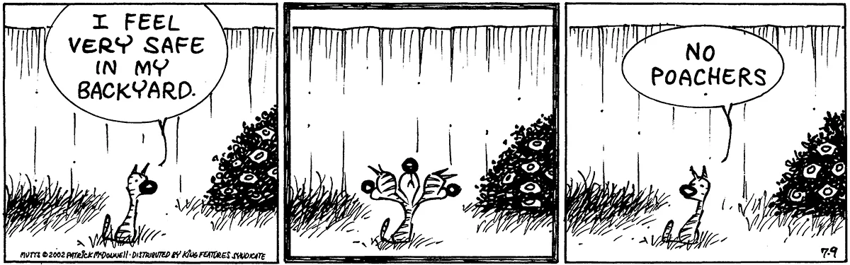 July 9 2002, Daily Comic Strip