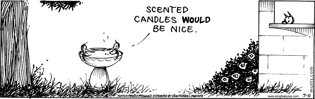July 11 2024, Daily Comic Strip