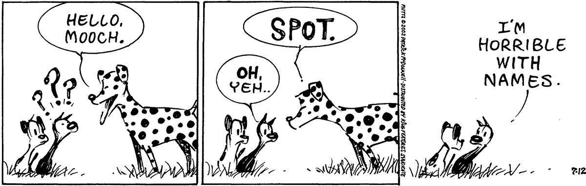 July 12 2002, Daily Comic Strip
