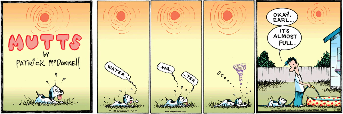 July 13 2008, Sunday Comic Strip