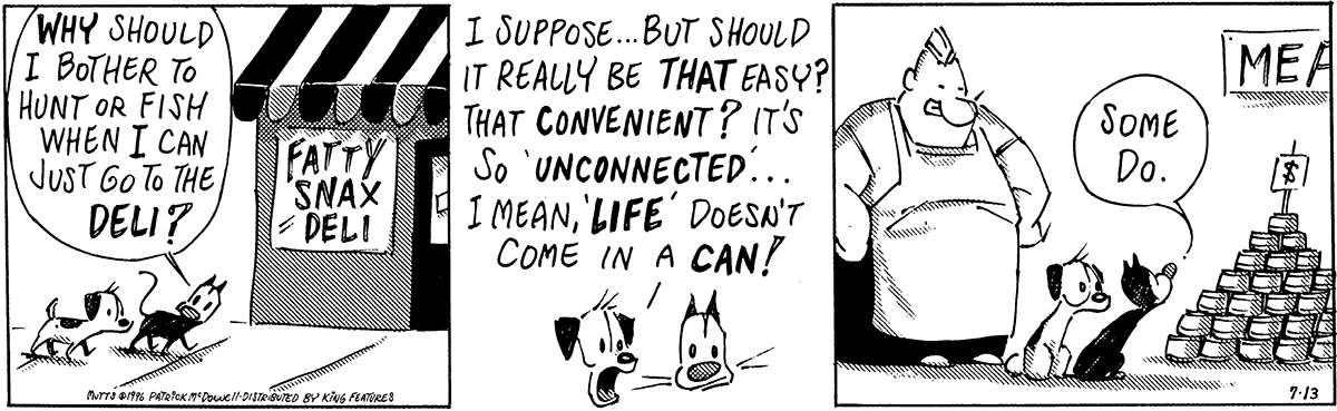 July 13 1996, Daily Comic Strip