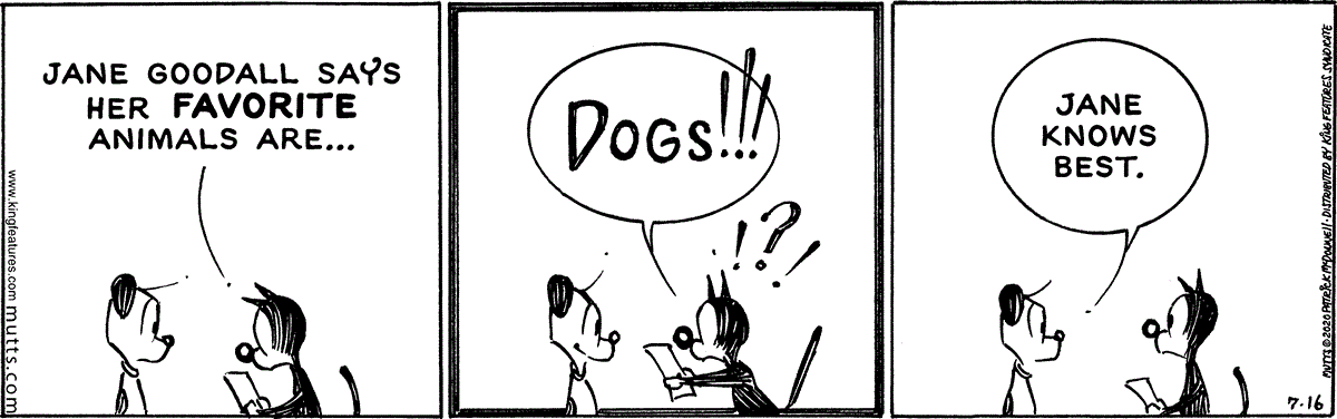 July 16 2020, Daily Comic Strip