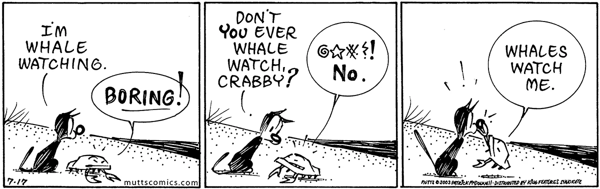 July 17 2003, Daily Comic Strip