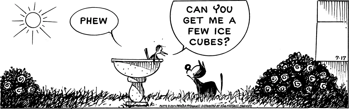 July 17 2014, Daily Comic Strip