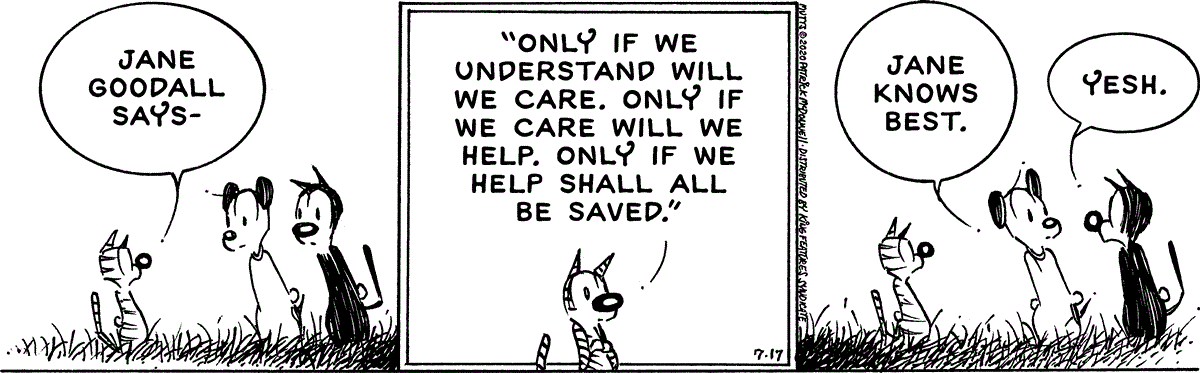 July 17 2020, Daily Comic Strip