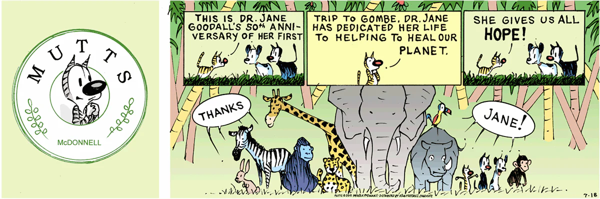 July 18 2010, Sunday Comic Strip