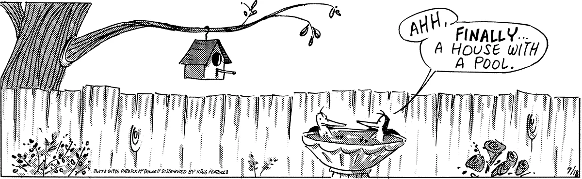 July 18 1996, Daily Comic Strip