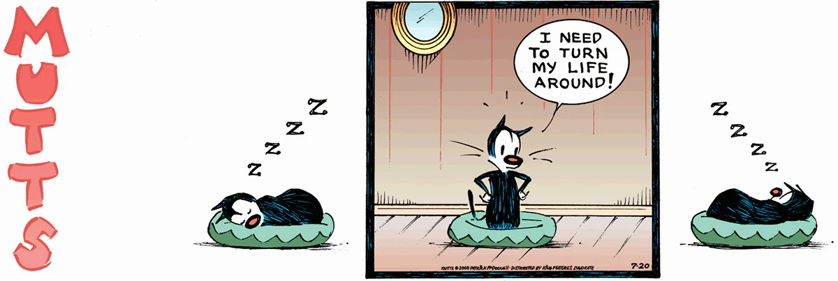 July 20 2008, Sunday Comic Strip