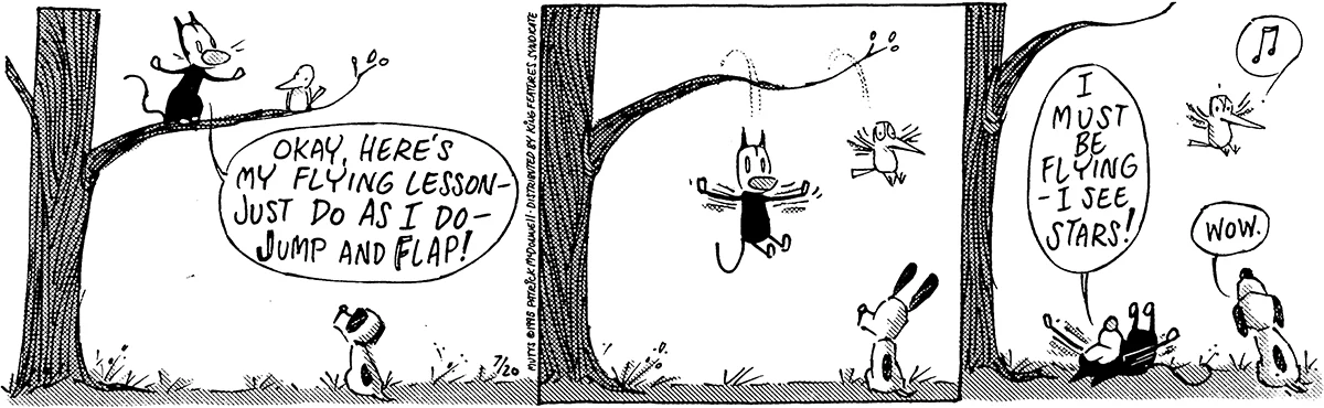 July 20 1995, Daily Comic Strip