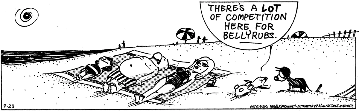 July 23 2001, Daily Comic Strip