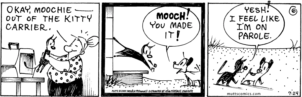July 24 2004, Daily Comic Strip